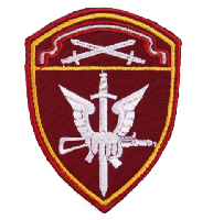 Шеврон Спецназ, ОМОН, СОБР Приволжского округа войск Национальной гвардии, Росгвардии РФ, 7,5х10 см