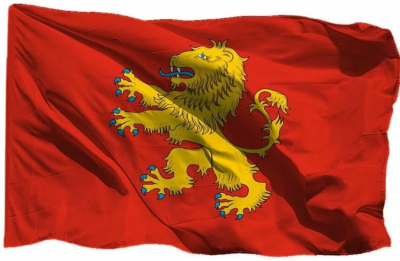 Флаг Ржева 90х135 см Флаг Ржева 90х135 см