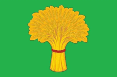 Флаг Канска 90х135 см